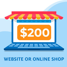 Website & E-Commerce Store Design Package $200