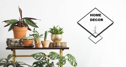 Elevate Your Space: A Comprehensive Guide to Home Decor