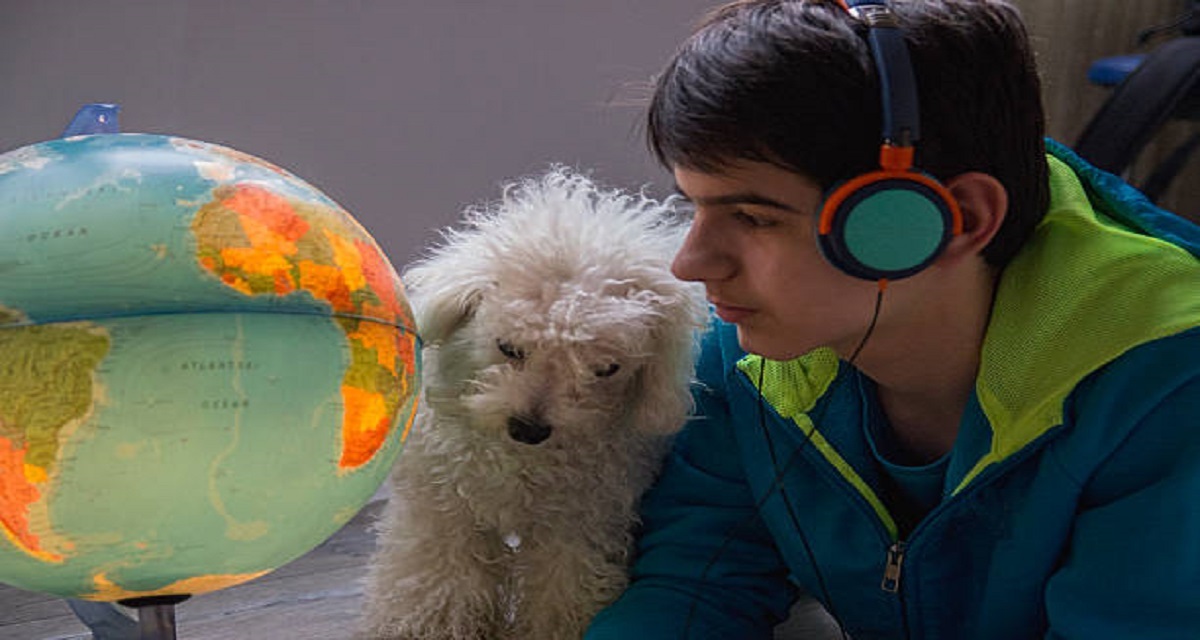 Enhancing the Lives of Your Furry Friends: Exploring the World of Pet Products